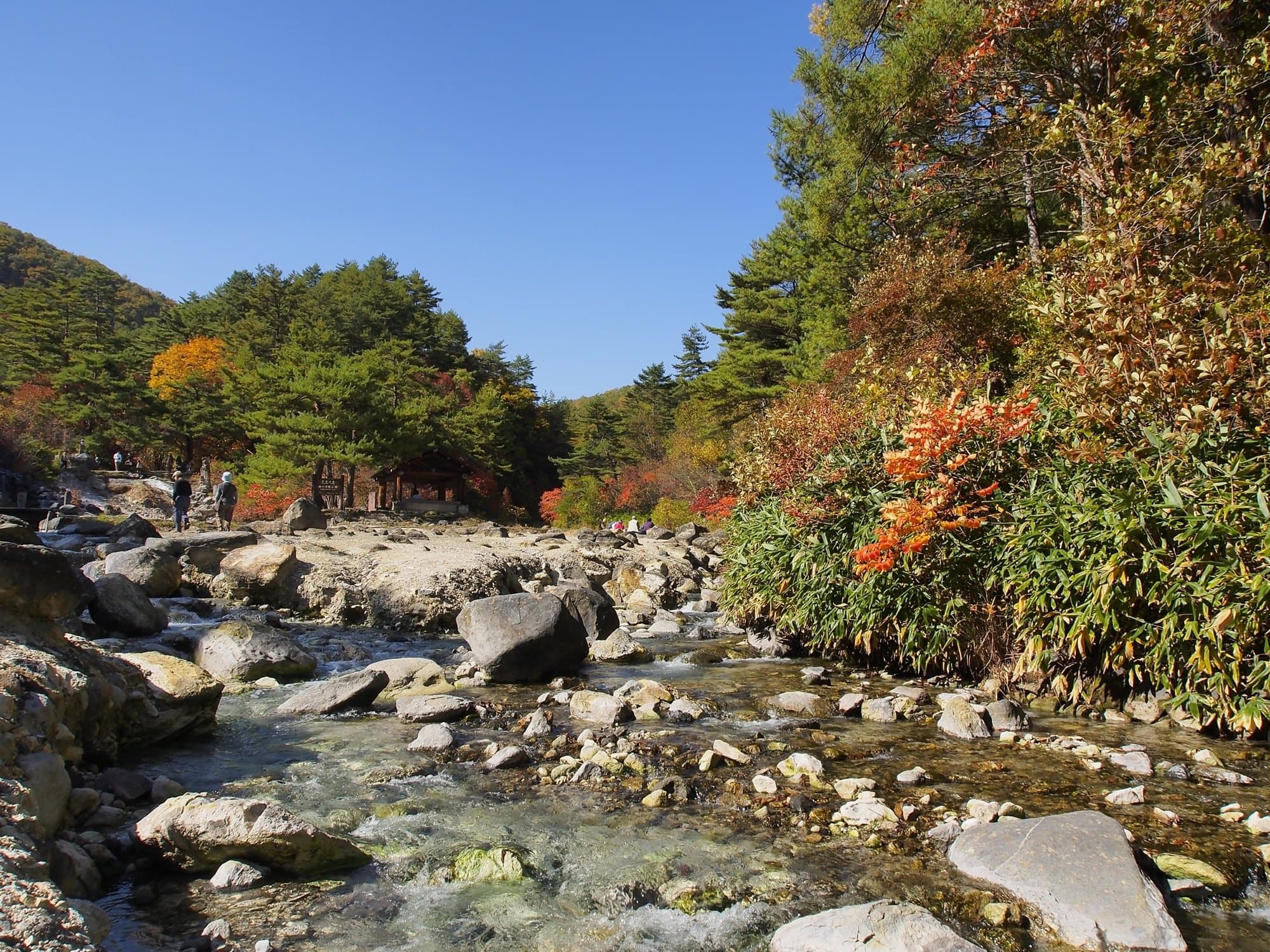The rocky stream and autumn trees of Sainokawara Park in Kusatsu